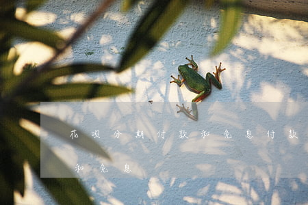 花呗分期付款和免息付款区别（花呗分期付款和免息）