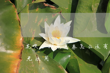 花呗分期免息券怎么没有了（花呗分期免息券无法用）