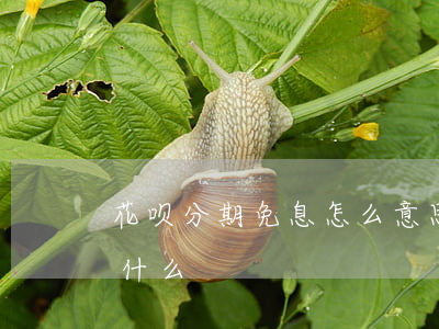 花呗分期免息怎么意思(花呗分期免息服务是什么)