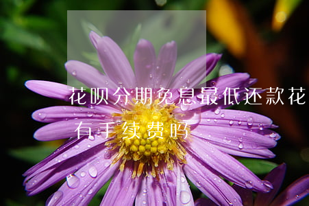 花呗分期免息最低还款(花呗分期免息还款还有手续费吗)