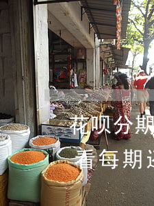 花呗分期后怎么看还欠多少钱(花呗分期从哪看每期还款额)