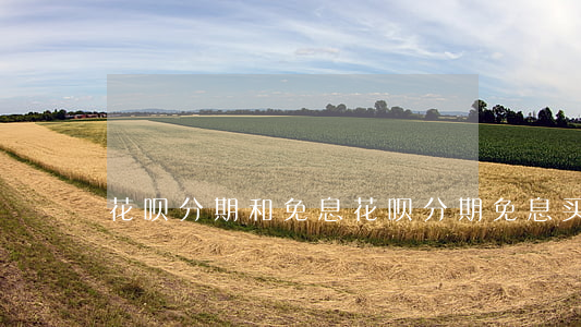 花呗分期和免息(花呗分期免息买手机划算吗)