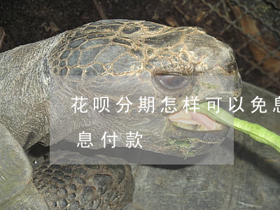 花呗分期怎样可以免息 花呗分期怎样可以免息付款