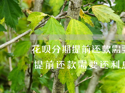 花呗分期提前还款需要还利息吗-花呗分期提前还款需要还利息吗