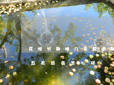 花呗分期晚几天算逾期(花呗分期后逾期是十五天后会怎么样?)