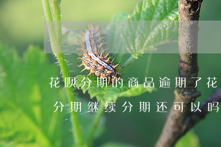 花呗分期的商品逾期了(花呗逾期已还剩下的分期继续分期还可以吗)