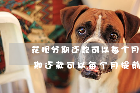 花呗分期还款可以每个月提前还吗-花呗分期还款可以每个月提前还吗