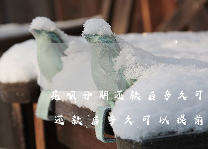 花呗分期还款后多久可以提前还-花呗分期还款后多久可以提前还款