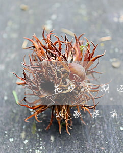 花呗分期还款提前还扣手续费吗-花呗分期还款提前还扣手续费吗