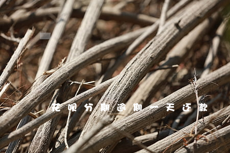 花呗分期逾期一天还款