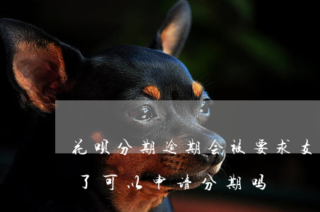 花呗分期逾期会被要求(支付宝蚂蚁花呗逾期了可以申请分期吗)