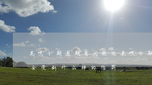 花呗分期逾期有问题吗(花呗分期逾期不还款会受到什么样的惩罚)