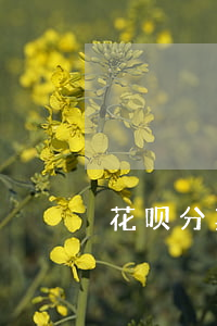 花呗分期额度还款怎么一次性还-