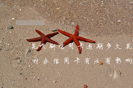 花呗刷信用卡逾期多久(花呗逾期了几天还了对办信用卡有没有影响)