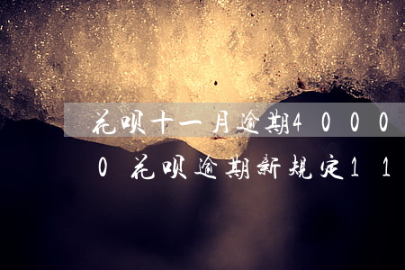 花呗十一月逾期4000截图图片-2020花呗逾期新规定11月份