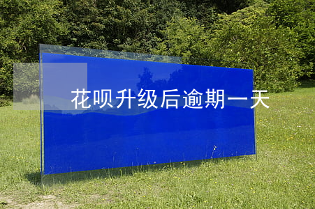 花呗升级后逾期一天