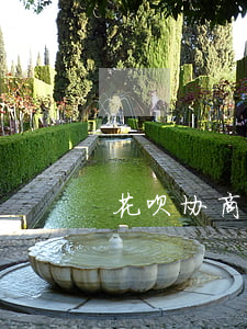 花呗 协商（花呗协商分期算逾期吗）
