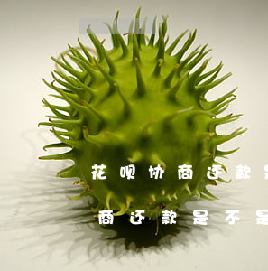 花呗协商还款是不是还到对公账户-花呗协商还款是不是还到对公账户上