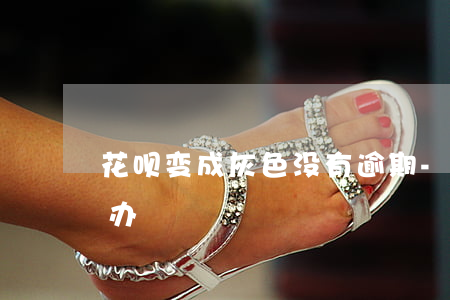 花呗变成灰色没有逾期-花呗变灰色了怎么办