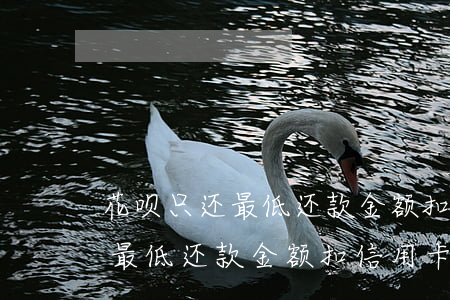 花呗只还最低还款金额扣信用卡-花呗只还最低还款金额扣信用卡的钱