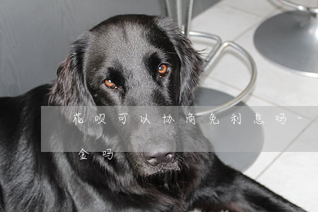 花呗可以协商免利息吗-花呗能协商只还本金吗