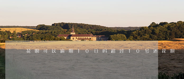 花呗可以逾期10日吗(超过10号还花呗)
