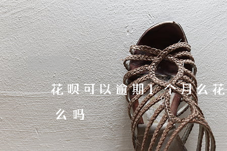 花呗可以逾期1个月么(花呗可以逾期1个月么吗)
