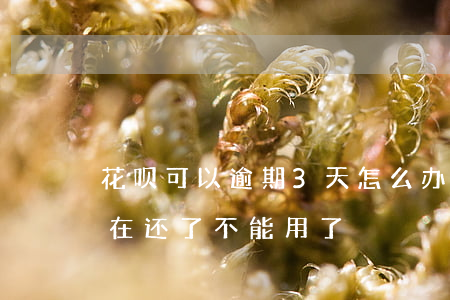 花呗可以逾期3天怎么办(花呗逾期了几天,现在还了,不能用了)