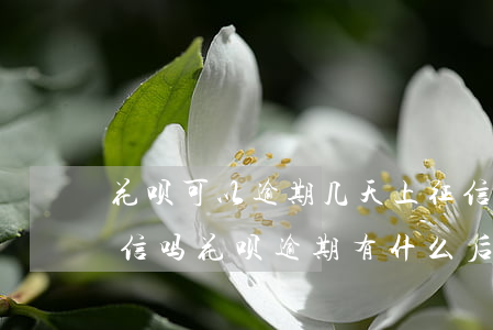 花呗可以逾期几天上征信(花呗逾期两天上征信吗?花呗逾期有什么后果)