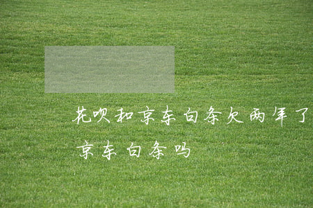花呗和京东白条欠两年了(花呗有欠款可以用京东白条吗)