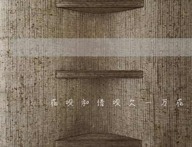 花呗和借呗欠一万(花呗和借呗欠一万)