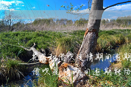 花呗和借呗疫情期间逾期能协商么-花呗和借呗疫情期间逾期能协商么吗