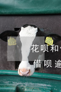 花呗和借呗逾期380多天怎么办-花呗和借呗逾期380多天怎么办啊