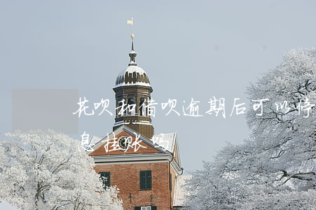 花呗和借呗逾期后可以停息挂账吗(借呗能停息挂账吗?)