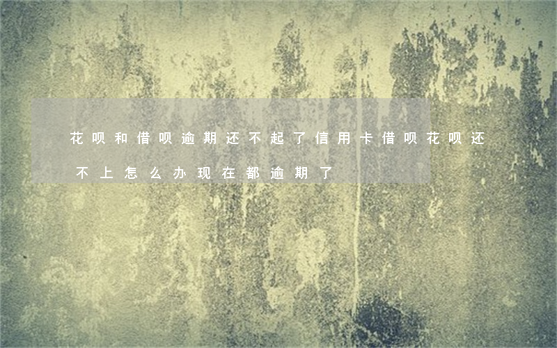 花呗和借呗逾期还不起了(信用卡借呗花呗还不上怎么办,现在都逾期了)