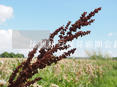 花呗和安逸花逾期会起诉么