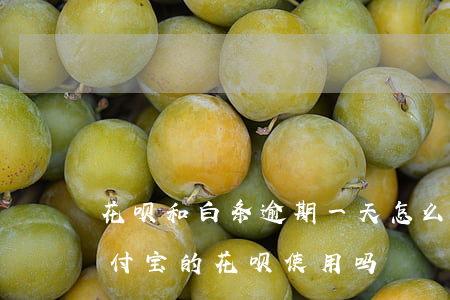 花呗和白条逾期一天怎么办(白条逾期影响支付宝的花呗使用吗)