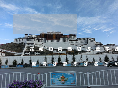 花呗和网商贷还款不还会怎么样-花呗和网商贷还款不还会怎么样