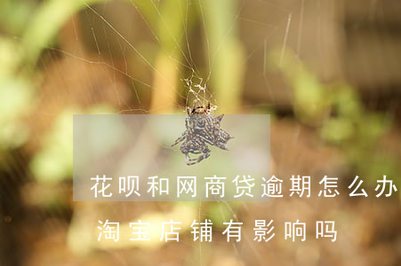 花呗和网商贷逾期怎么办(网商贷花呗逾期,对淘宝店铺有影响吗)
