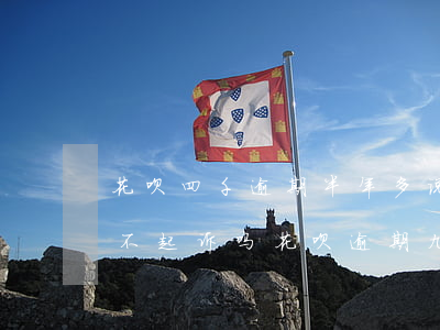 花呗四千逾期半年多 说要起诉现在还点可以不起诉吗（花呗逾期九千会不会被起诉）