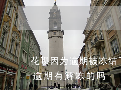 花呗因为逾期被冻结了什么时候能再用（花呗逾期有解冻的吗）