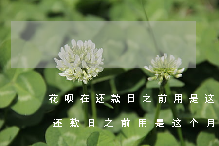 花呗在还款日之前用是这个月还吗-花呗在还款日之前用是这个月还吗