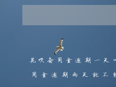 花呗备用金逾期一天以后还能用吗-花呗备用金逾期两天就不能取出来了吗