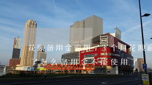 花呗备用金逾期了3个月(花呗逾期了几天还了怎么备用金不能使用了)
