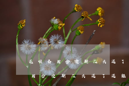 花呗备用金逾期几天还了还能用吗-花呗备用金逾期几天还了还能用吗安全吗