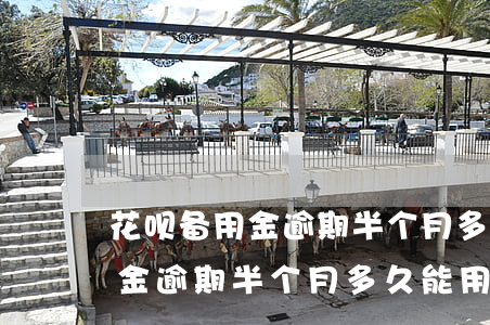 花呗备用金逾期半个月多久能用-花呗备用金逾期半个月多久能用啊