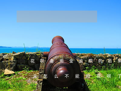 花呗备用金逾期的后果(花呗备用金逾期了几天怎么不能用花呗了)