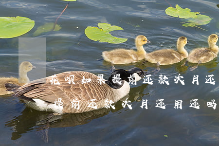花呗如果提前还款次月还用还吗-花呗如果提前还款次月还用还吗怎么算
