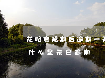 花呗宽限期后逾期一天(花呗有三天宽限日为什么显示已逾期)