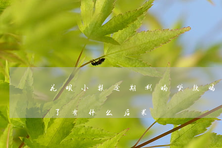 花呗小额逾期影响贷款吗(支付宝的花呗逾期了有什么后果)